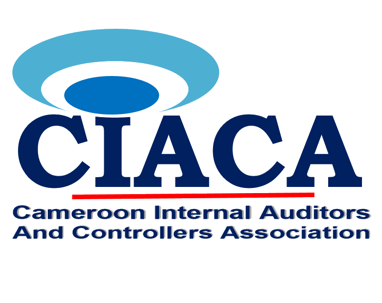 Cameroon Internal Auditors and Controllers Association